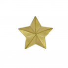 Звезда литая (ЦАМ) МВД РБ (13мм)